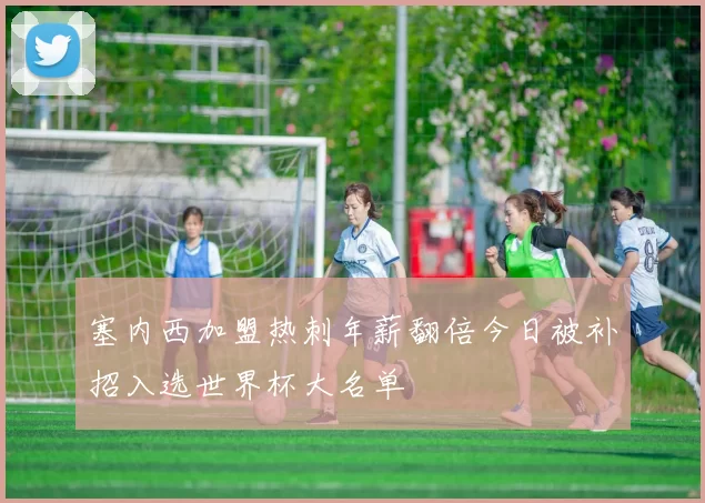 塞内西加盟热刺年薪翻倍今日被补招入选世界杯大名单